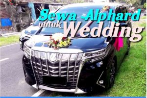Sewa Alphard untuk Wedding di Bali, Dijamin Berkesan!