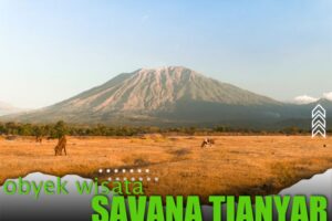 Obyek Wisata Savana Tianyar