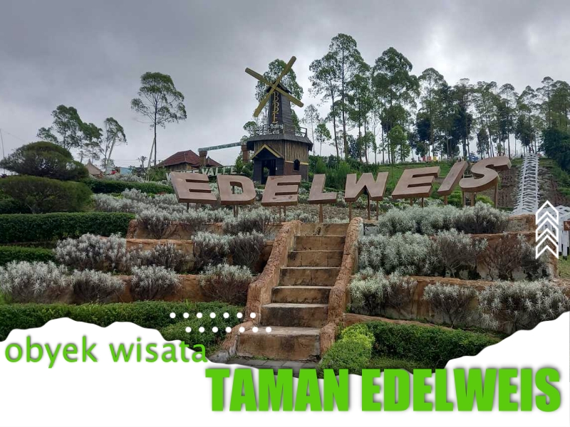 Obyek Wisata Taman Edelweis Obyek Wisata Taman Edelweis