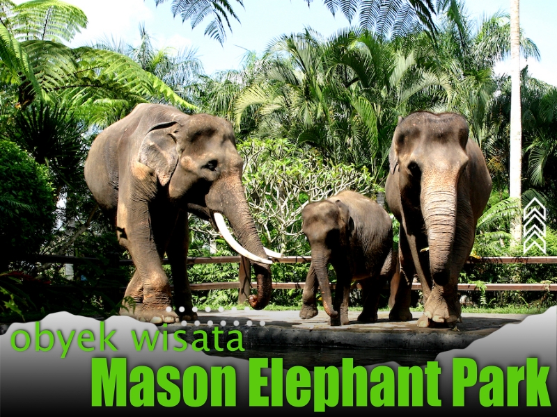 Obyek Wisata Mason Elephant Park