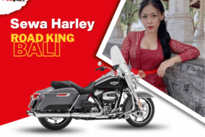 Sewa Harley Davidson Road King di Bali
