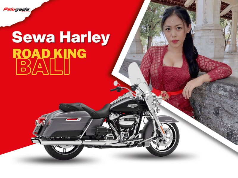Sewa Harley Davidson Road King di Bali