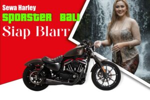 Sewa Harley Davidson Sportster Bali